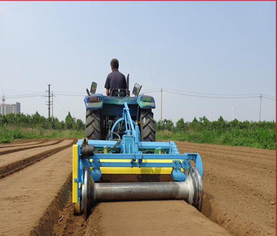 1613531098589241.jpg 1613530956(1).jpg